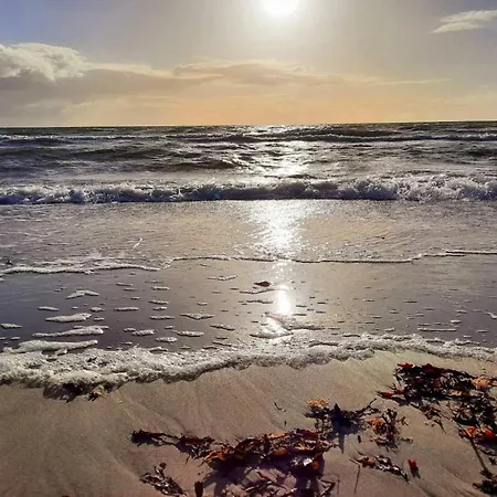 בית נופש 6 Person In Gorlev